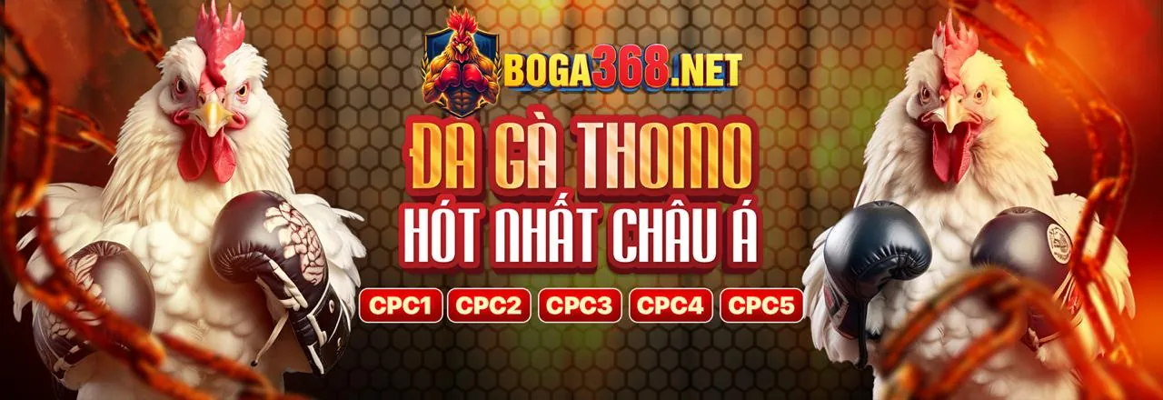 Ứng dụng trực tiếp đá gà thomo hôm nay cpc3 trên điện thoại